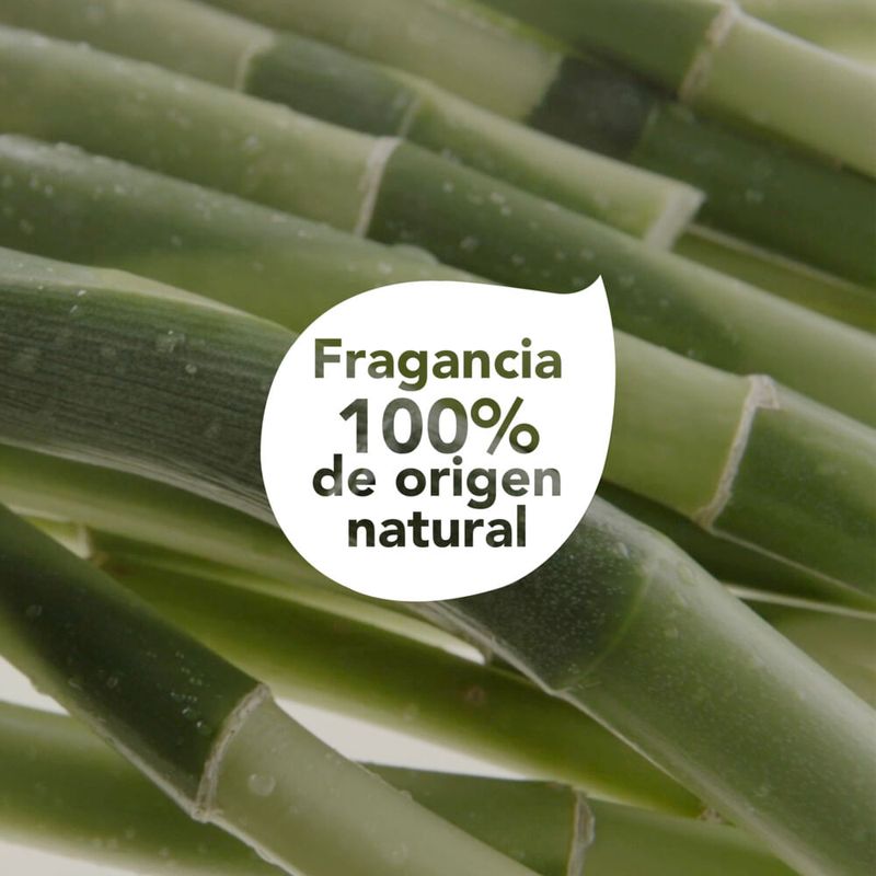 Shampoo-DOVE-Poder-Plantas-Fuerza---Bambu-300-ml-4