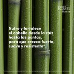Tratamiento-DOVE-Poder-Plantas-Fuerza---Bambu-190-ml-5