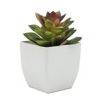 Planta-Artificial-Suculenta-con-Maceta-rh-1330-7x7x12-cm-0