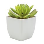 Planta-Artificial-Suculenta-con-Maceta-rh-1329-7x7x10-cm-0