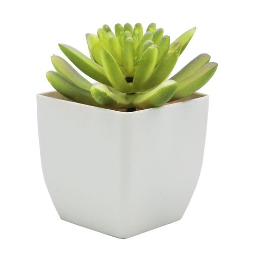 Planta Artificial Suculenta con Maceta rh 1329 7x7x10 cm