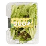 Ensalada-duo-150-g-0