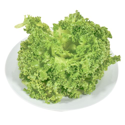 Lechuga crystal hidropónica