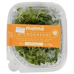 Microgreens-Brocoli---Mostaza---Rabanito-35-g-0