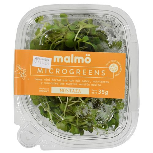 Microgreens Brocoli / Mostaza / Rabanito 35 g