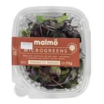Microgreens-Brocoli---Mostaza---Rabanito-35-g-1