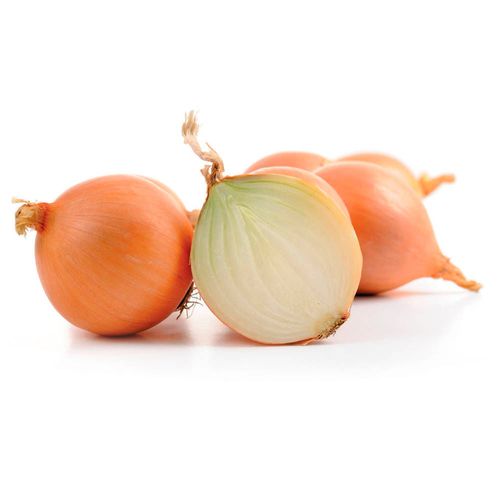 Cebolla malla aprox. 1.5 kg
