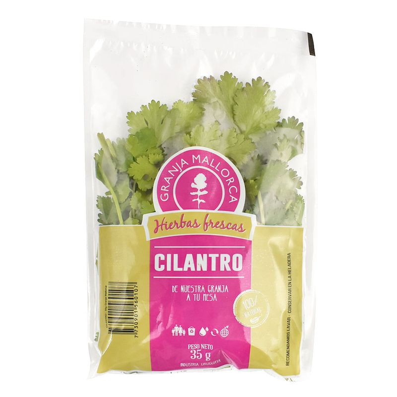 Cilantro-GRANJA-MALLORCA-0