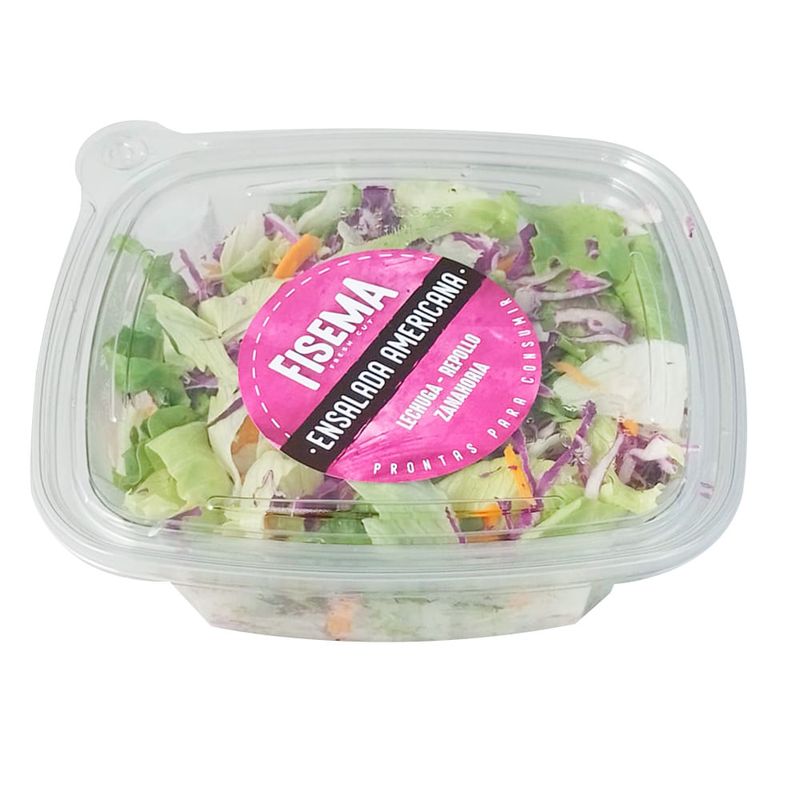 Ensalada-americana-FISEMA-250-g-0