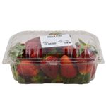 Frutilla-x-600-g-0