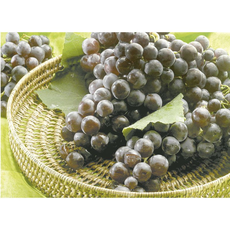 Uva-Alfonso-Lavalle-aprox-1-kg-0