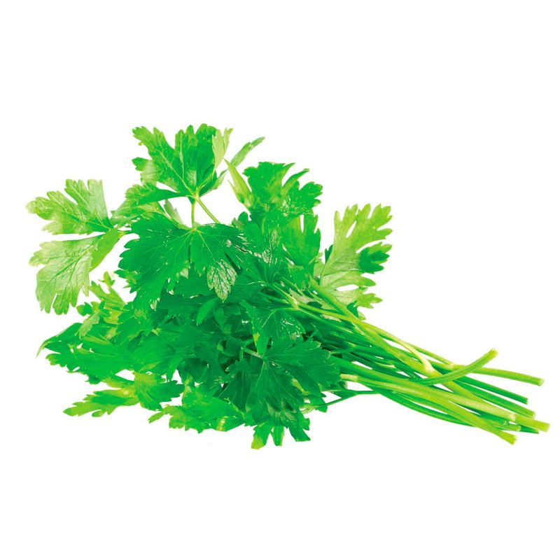 Perejil-organico-0