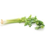 Apio-Gusto-organico-0