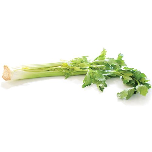 Apio Gusto orgánico