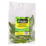 Albahaca-EL-FORTIN-hidroponica-25-g-0