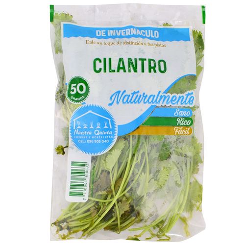Cilantro invernáculo 50 g