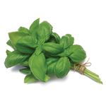 Albahaca-organica-Huerta-la-Cle-0