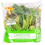 Mezclum-Campestre-0