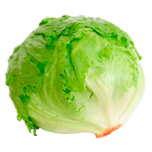 Lechuga capuchina
