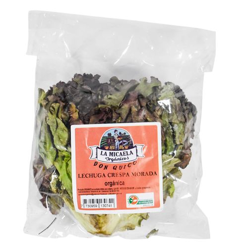 Lechuga crespa morada orgánica LA MICAELA