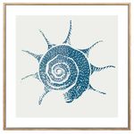 Lamina-con-Marco-40x40-cm-xcc-245751-s-caracol-de-MAR-0
