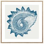 Lamina-con-Marco-40x40-cm-xcc-245752-s-caracol-de-MAR-0