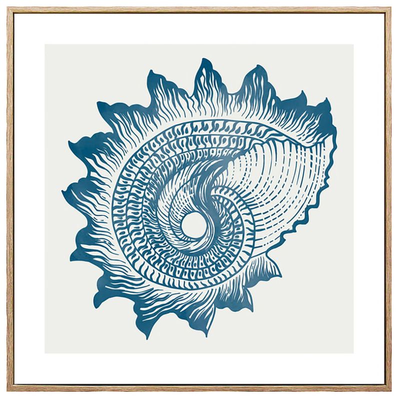 Lamina-con-Marco-40x40-cm-xcc-245752-s-caracol-de-MAR-0
