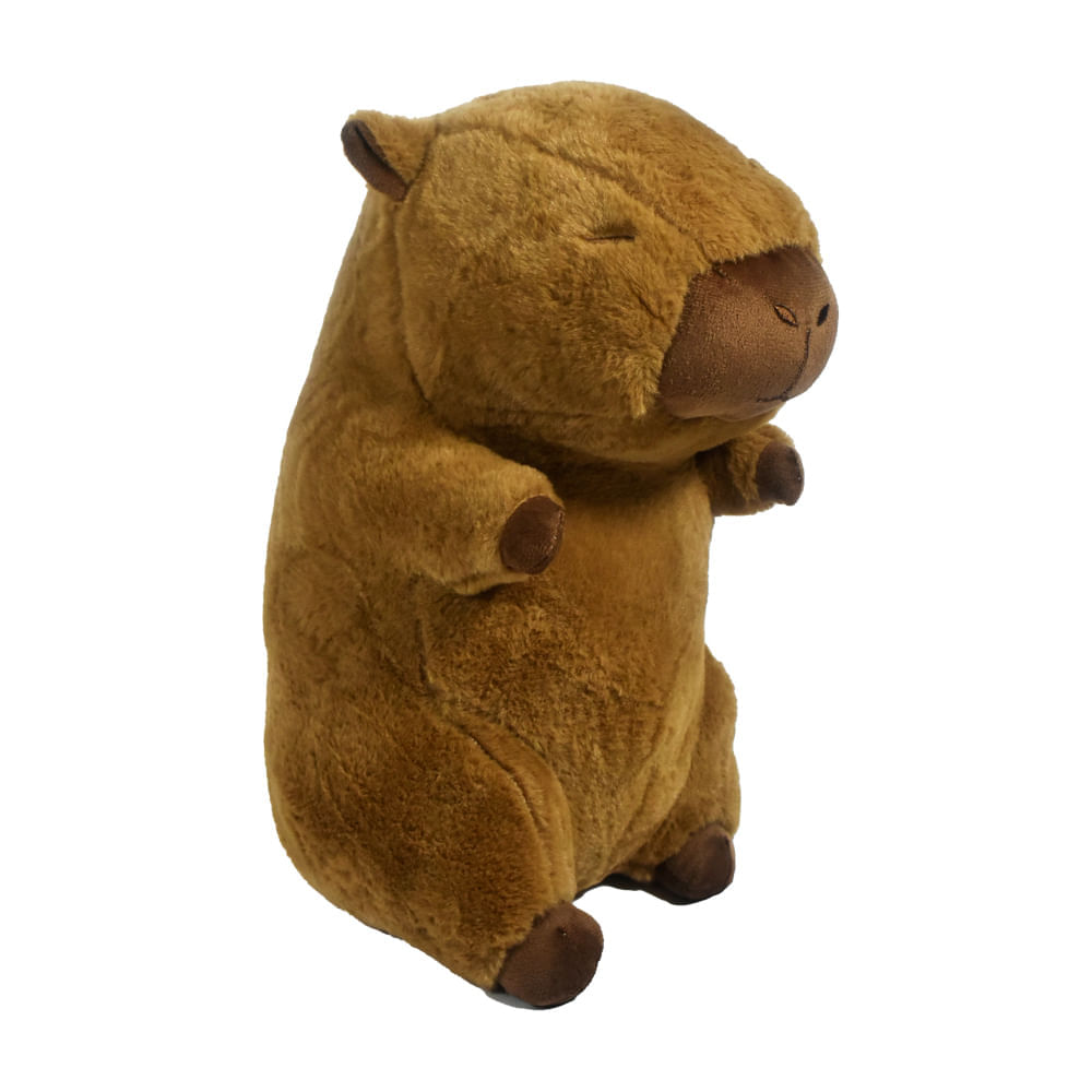 Capybara - Set di 2 federe per cuscini da 61 x 61 cm, morbide federe decorative per bambini, motivo animali kawaii, per divano, ramen, cibo, federe per cuscini a tema cartoni animati