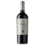 Vino-Syrah-MONTES-TOSCANINI-750-ml-0