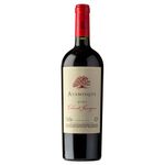 Vino-Tinto-Cabernet-Sauvignon-ATAMISQUE-750-ml-0