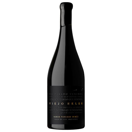 Vino Tinto Malbec Cabernet Franc Viejo SELER 750 ml