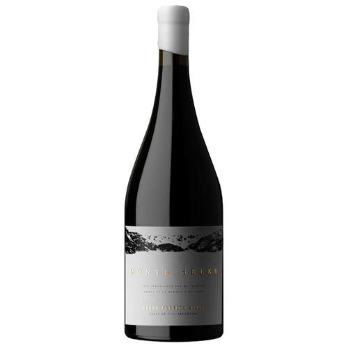 Vino Tinto Malbec Monte SELER 750 ml