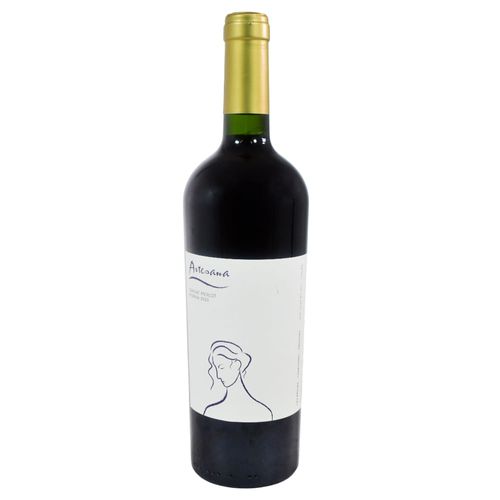 Vino tinto tannat merlot reserva ARTESANA 750 ml