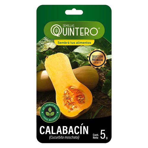 Sobre de semilla de calabacín QUINTERO 5 g
