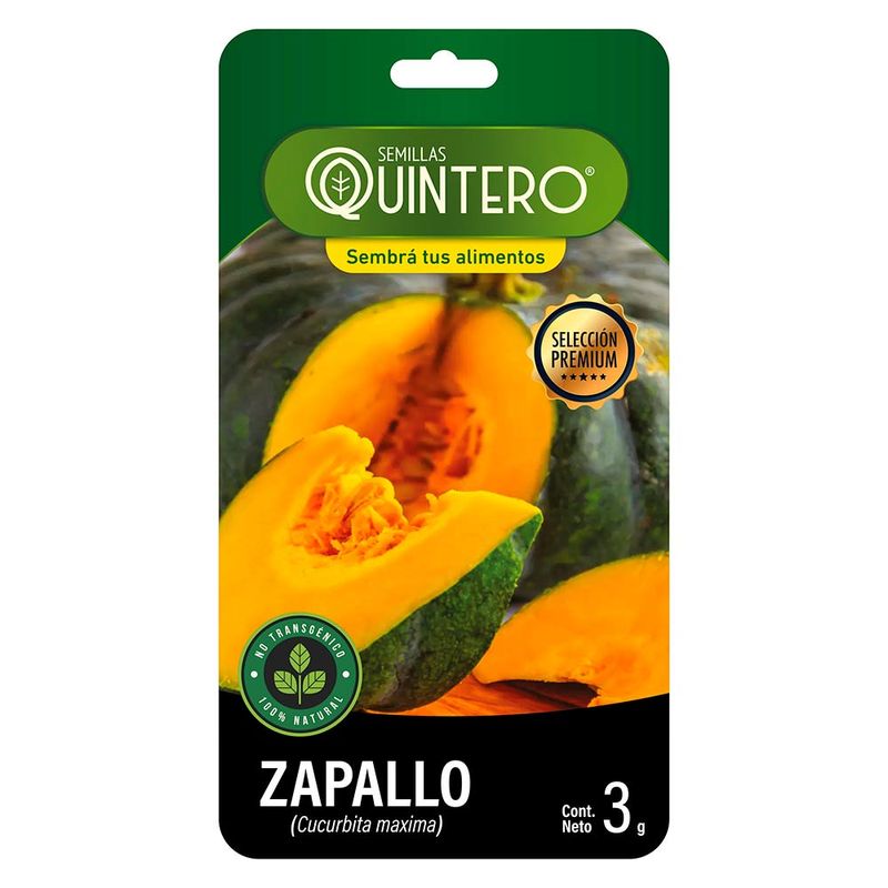 Sobre-de-semilla-de-zapallo-QUINTERO-3-g-0