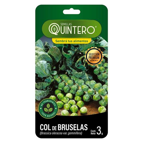 Sobre de semilla de col de bruselas QUINTERO 3 g