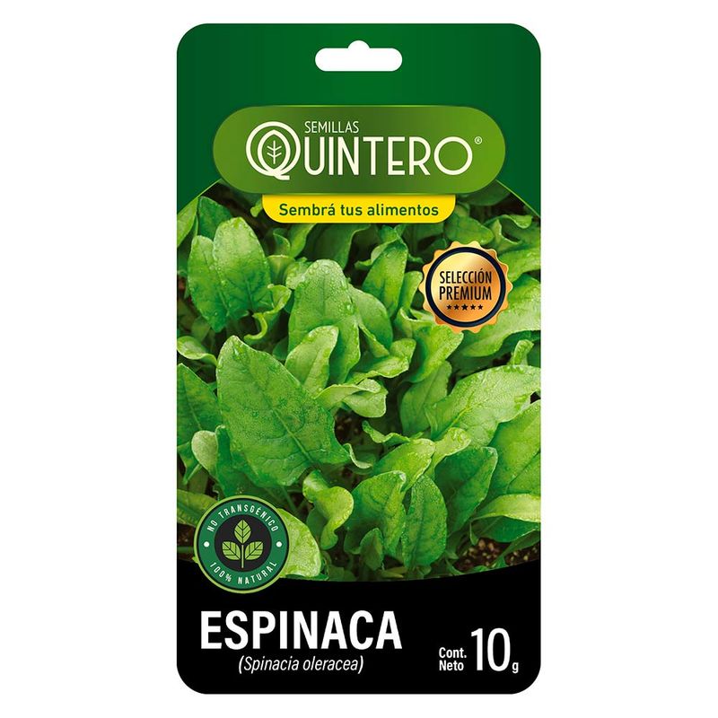 Sobre-de-semilla-de-espinaca-QUINTERO-10-g-0