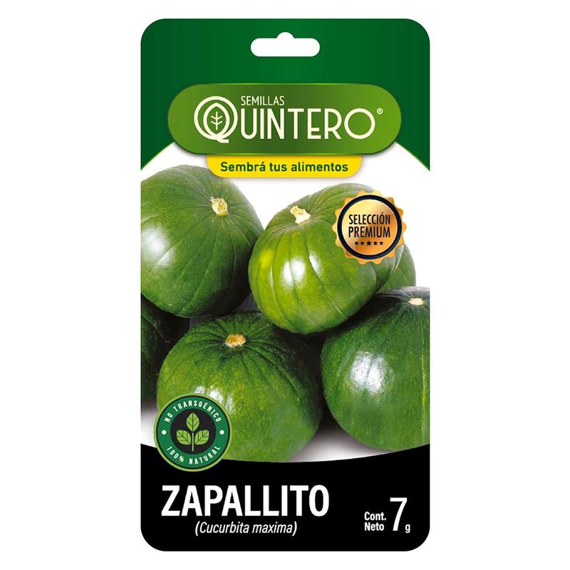 Sobre-de-semilla-de-zapallito-QUINTERO-7-g-0
