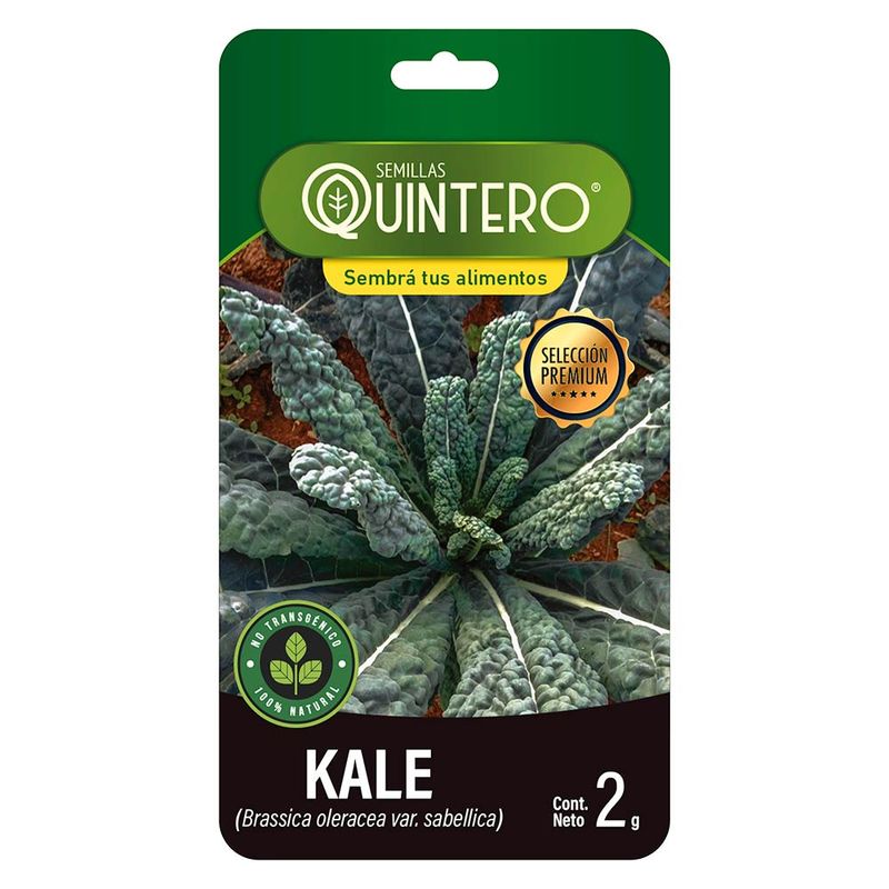 Sobre-de-semilla-de-kale-QUINTERO-2-g-0