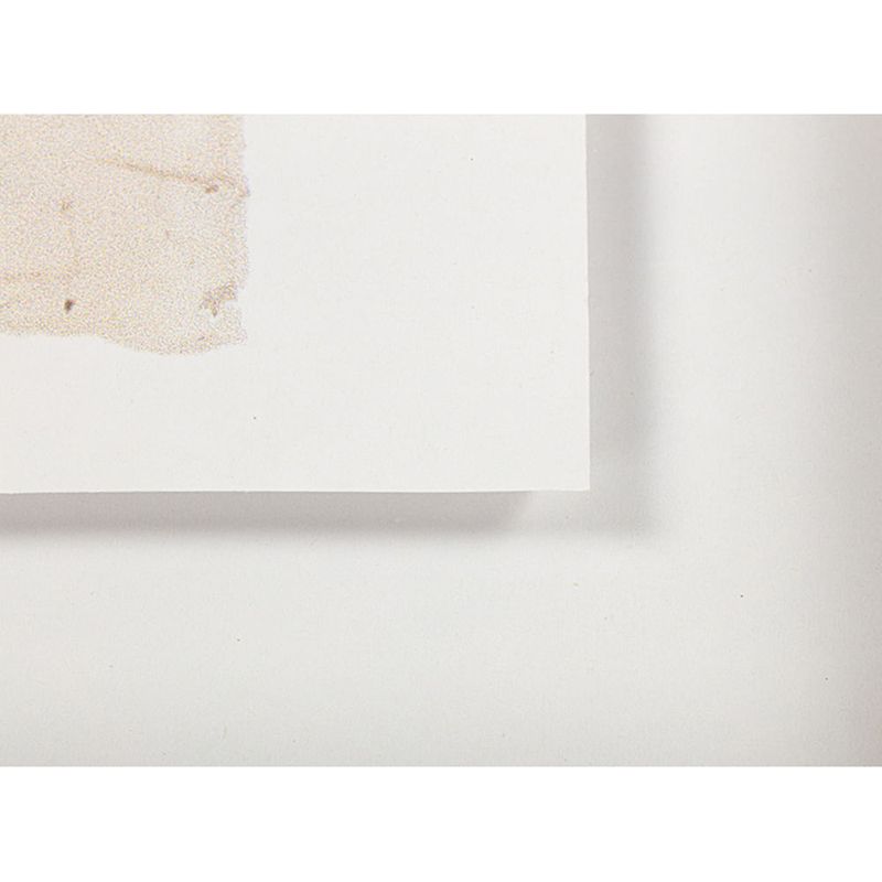 Lamina-con-Marco-40-x-50-cm-Flores-4