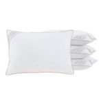 Almohada-BUDDMEYER-Toque-de-Pluma-50x90-cm-3