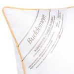 Almohada-BUDDMEYER-Toque-de-Pluma-50x90-cm-5