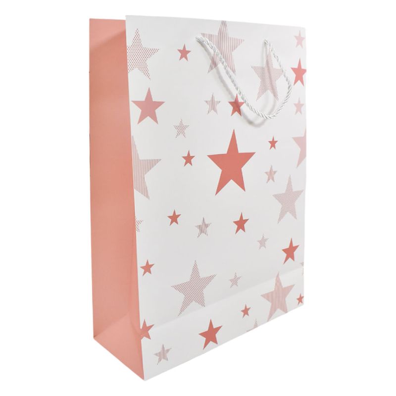 Bolsa-de-Regalo-Estampada-30x415x12-cm-0