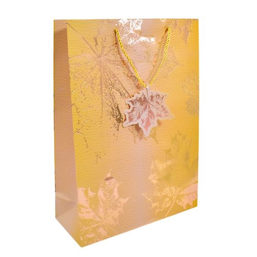 Bolsa de Regalo Estampada 30x41,5x12 cm