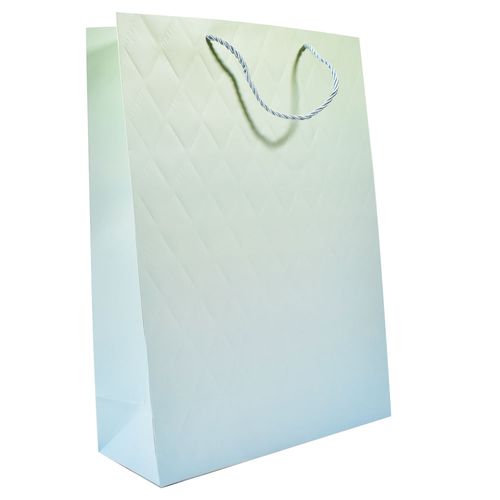 Bolsa de Regalo Lisa 30x41,5x12 cm