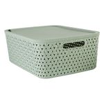 Caja-Organizadora-15-L-40x305xh15-cm-Verde-Five-0