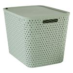 Caja-Organizadora-28-L-397x302xh30-cm-Verde-Five-0