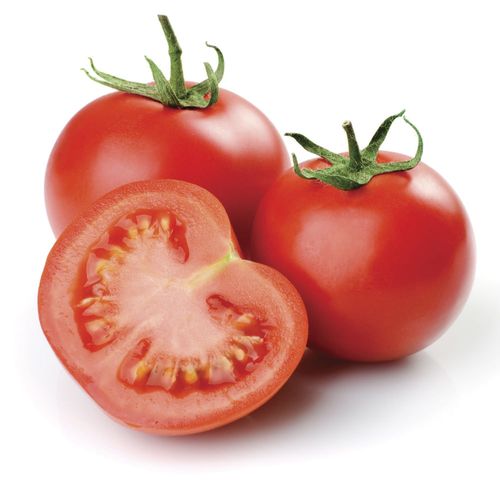 Tomate orgánico envasado x 1.1 kg