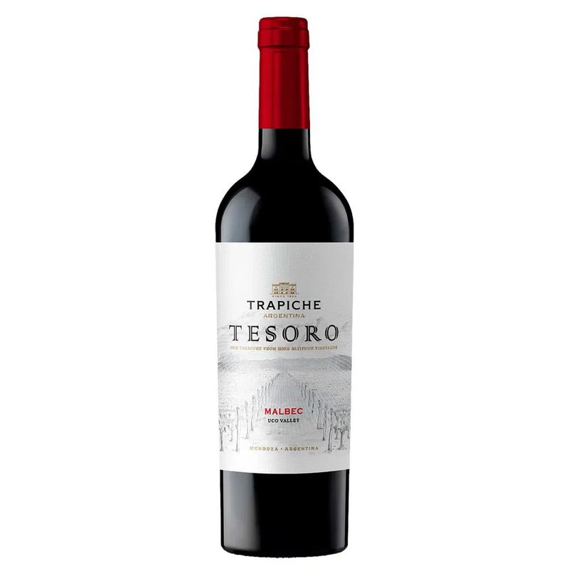 Vino-Tinto-Malbec-Tesoro-750-ml-0