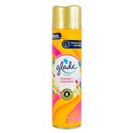Desod-Ambiente-GLADE-Naranjo-y-Orquideas-360-cc-0